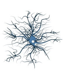 Dopaminergic Neurons - Antibodies.com